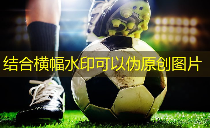 军霞牌哑铃健身器材