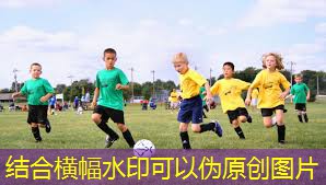 乒乓球台胶跟铁