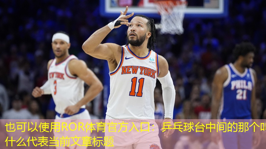 乒乓球台中间的那个叫什么